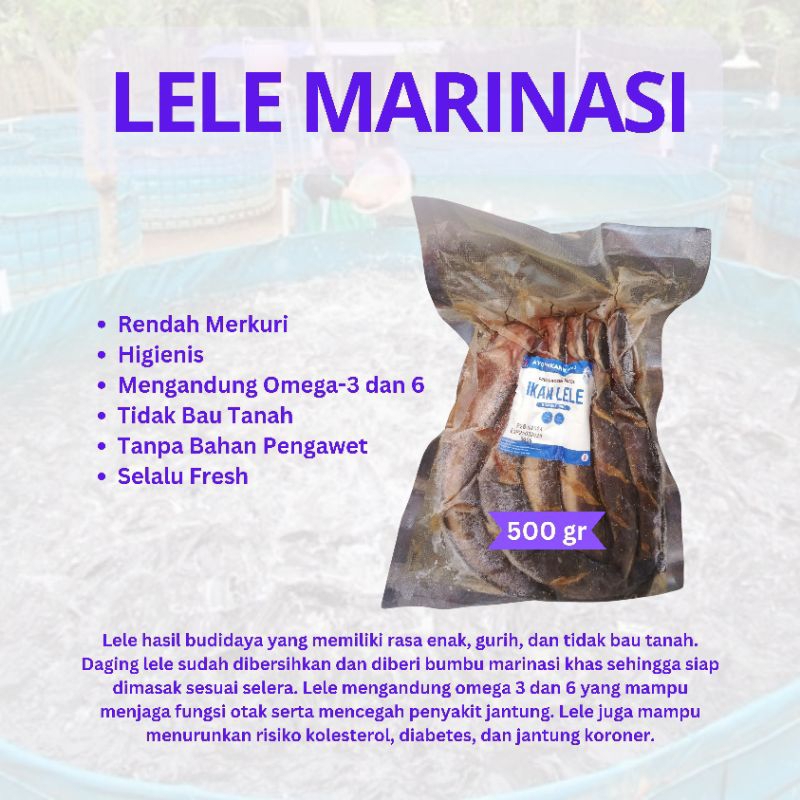 

KIRIM INSTANT Lele Bumbu Kuning Omega-3 &6 Siap Goreng