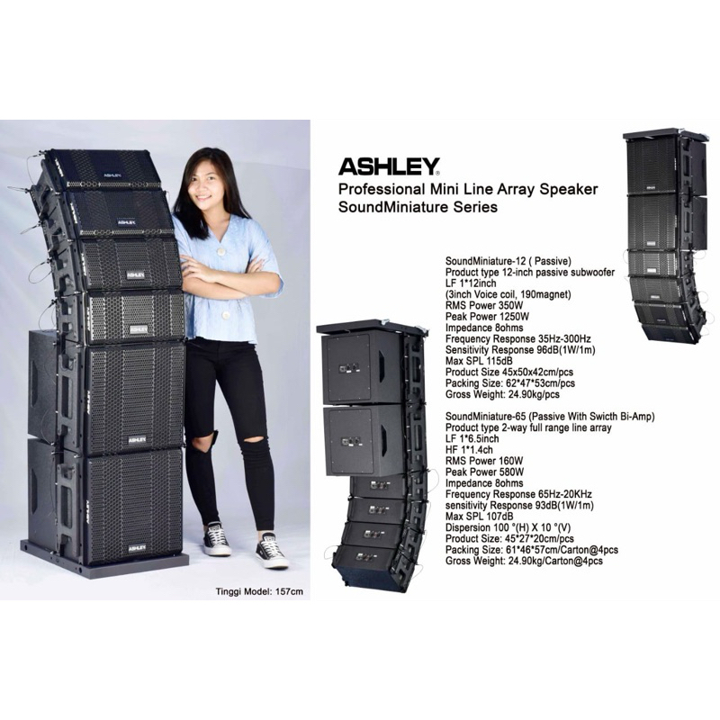 1 Set Mini line Array PASSIVE ASHLEY ORIGINAL