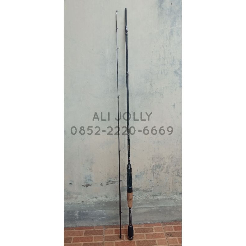 Joran Casting Abu Garcia Hornet Stinger