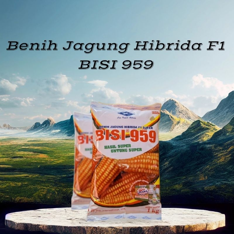 Benih Jagung Hibrida F1 Bisi 959