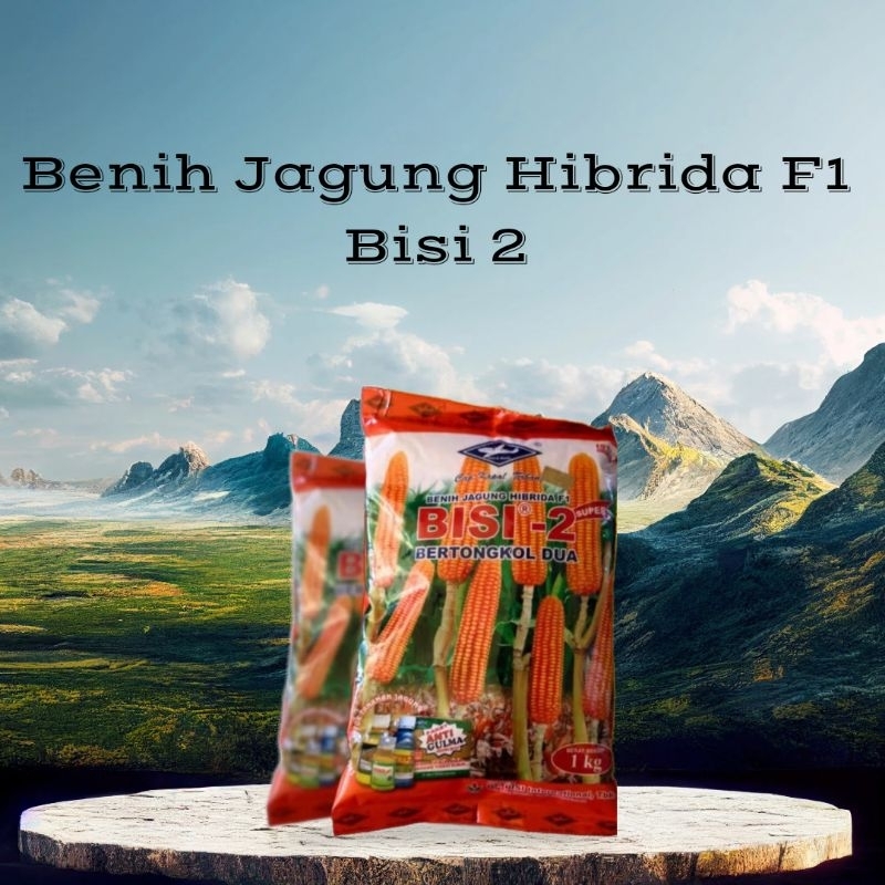 Benih Jagung Hibrida F1 BISI 2