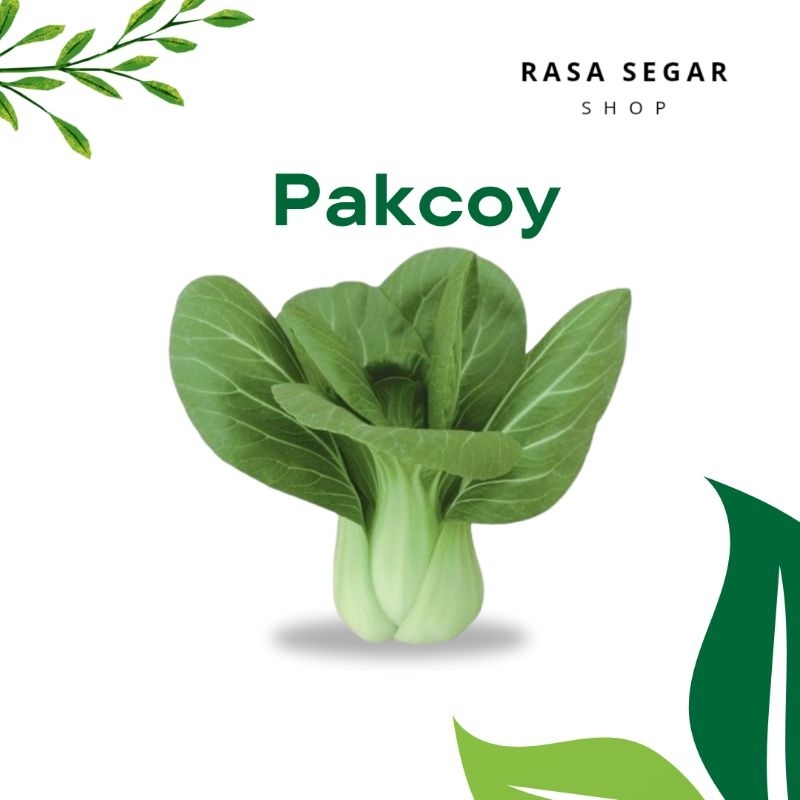 

PAKCOY hijau segar | 200 Gram | RASA SEGAR