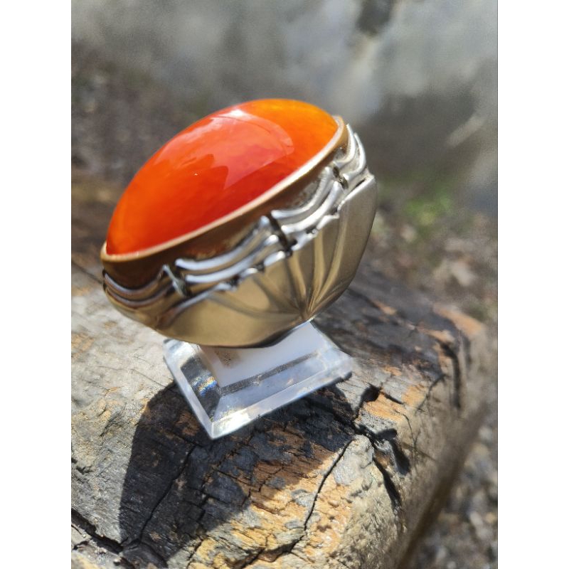 Pandan Merah Jamblang