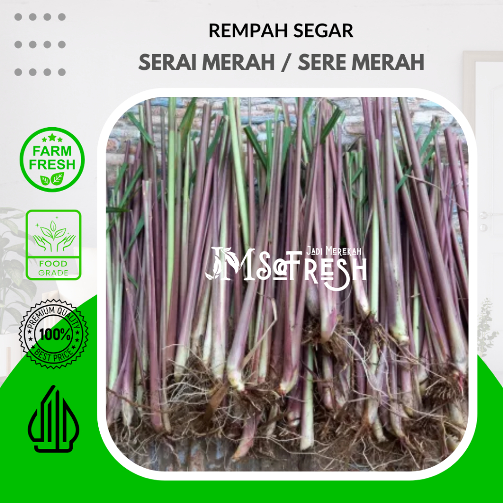 

[JM_SoFresh] Sereh Merah / Red Lemongrass