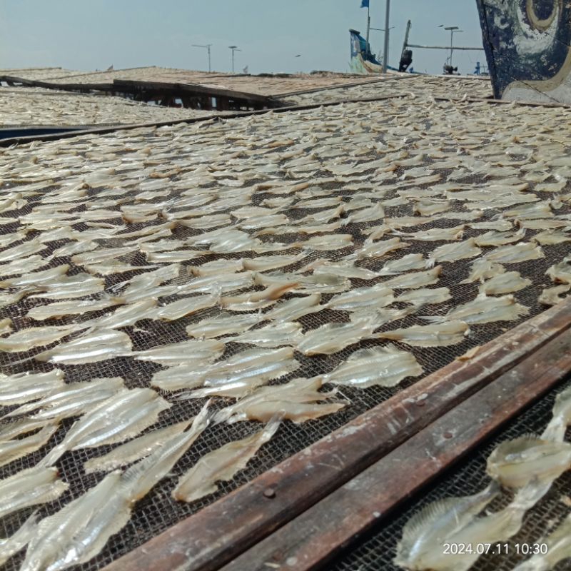 

Ikan Asin Teri Laut / Ikan Asin Teri Belah/ Ikan Asin Teri Laut/ Ikan Asin / Ikan Kering / Ikan Laut Kering Paling Fresh Paling Murah Langsung Dari Nelayan