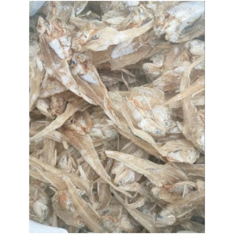 

IKAN ASIN BULU AYAM 1KG