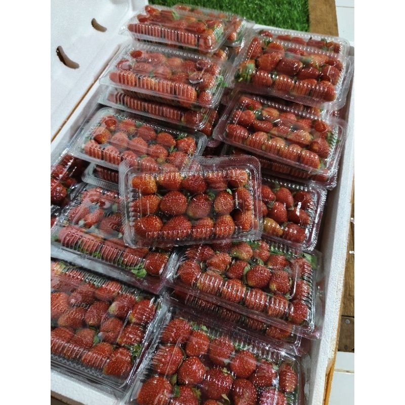 

strawberry fresh mika AL