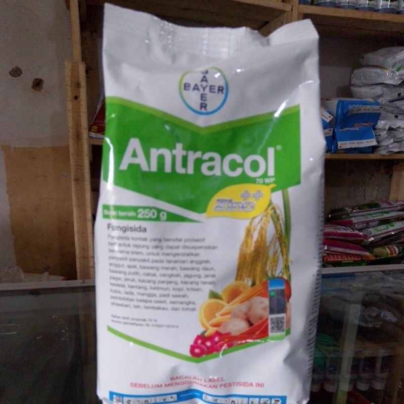 Fungisida ANTRACOL 250 GRAM