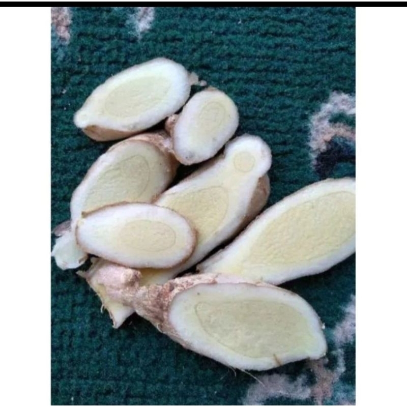 

Herbal Alami Buah Kunyit Putih Segar /Temu Putih Fresh 1kg