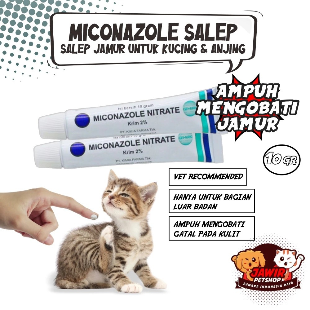 MICONAZOLE NITRATE 10gr obat salep krim anti jamur kucing anjing ampuh jamuran kulit gatal anak kitt