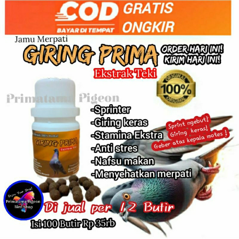 Jamu Merpati Giring Prima Per 12 Butir Ekstrak Teki jamu burung merpati kolong bebas meja balap dopi