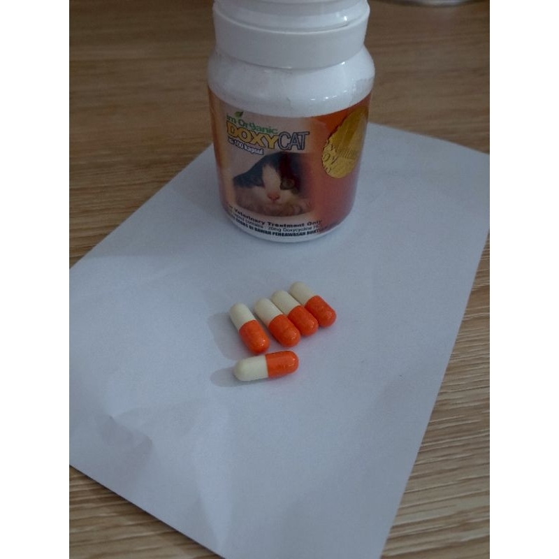 DoxyCat im organic  // obat Flu kucing i'm organic Doxy Cat