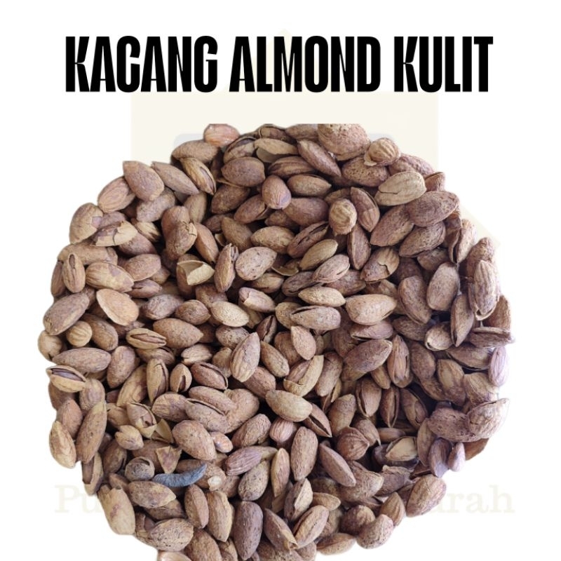 

KACANG ALMOND / KACANG ALMOND KULIT / KACANG ALMOND MANIS / OLEH OLEH UMROH HAJI