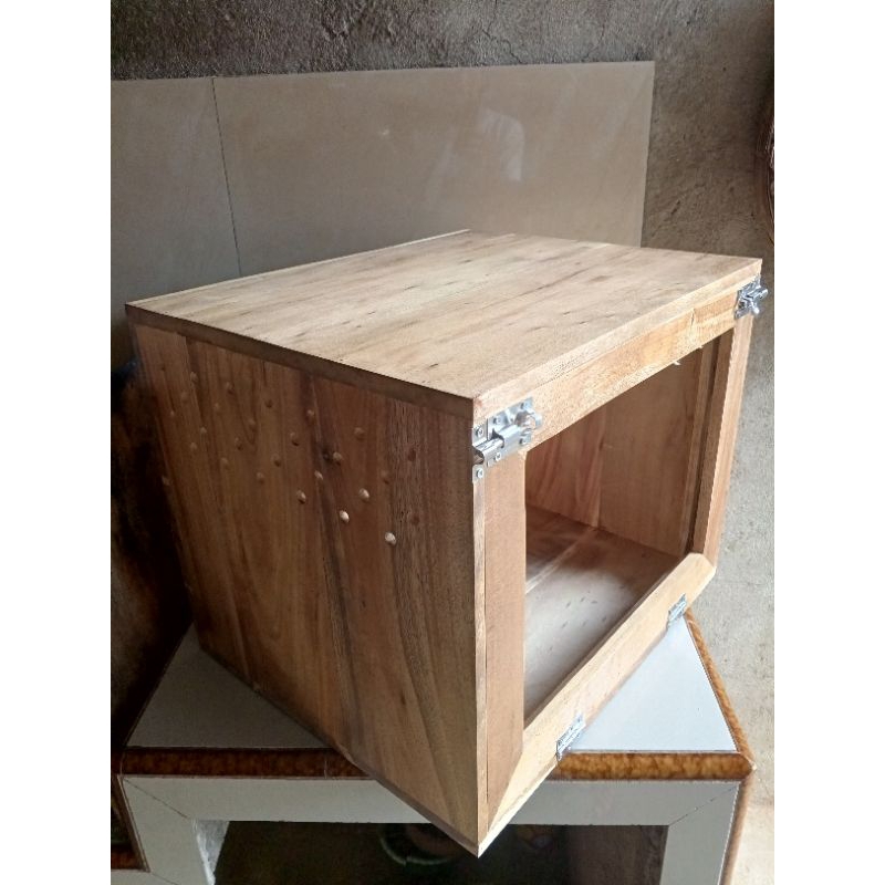 terarium kayu reptil