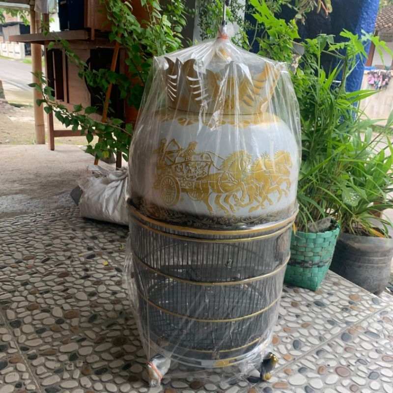 SANGKAR BURUNG PERKUTUT MOTIF SIAP PAKAI