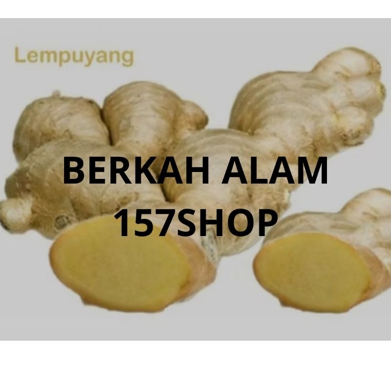 

Lempuyang segar 1kg - lempuyang organik fresh