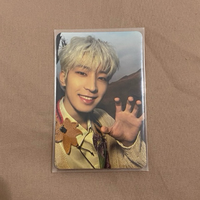 PC PHOTOCARD WONWOO WONU WW HORANGHAE FTS FACE THE SUN RAY SEVENTEEN SVT