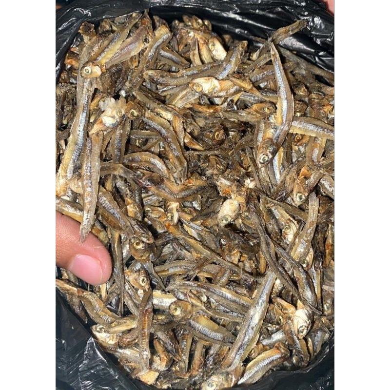 

Ikan Teri jengki Kering Premium
