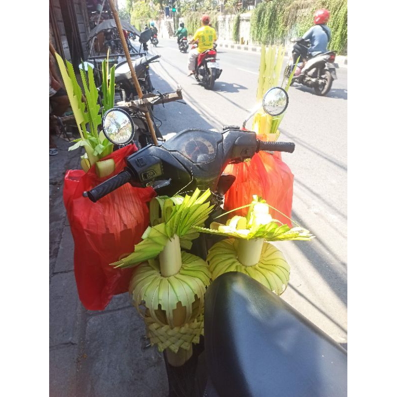 Sertamulia1 Janur Kuning Asli Kembar Mayang Dan Kembang Mayang 1 Set 4 Pcs Untuk Kemanten Dan Simbol