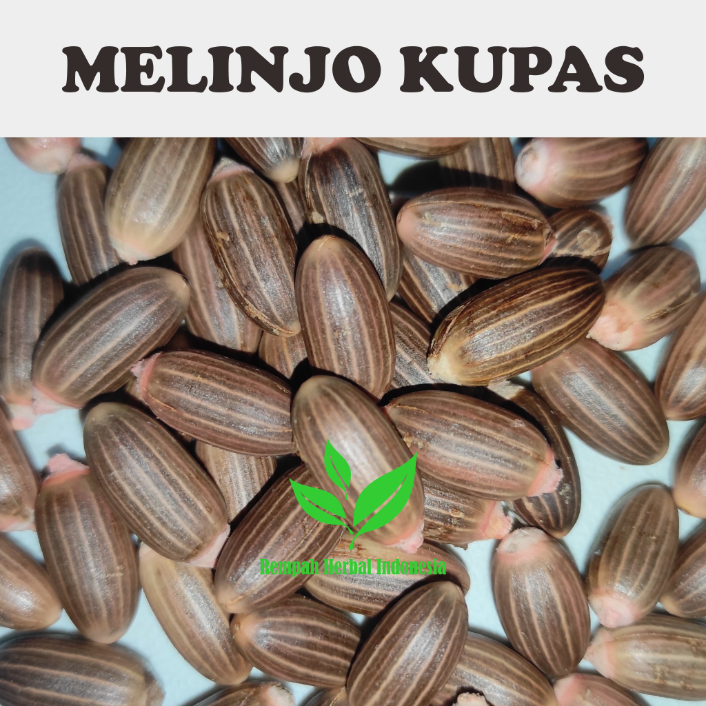 

Biji Wijil Klatak Melinjo Mlinjo Kupas 1 KG Kualitas SUPER Tua Di pohon