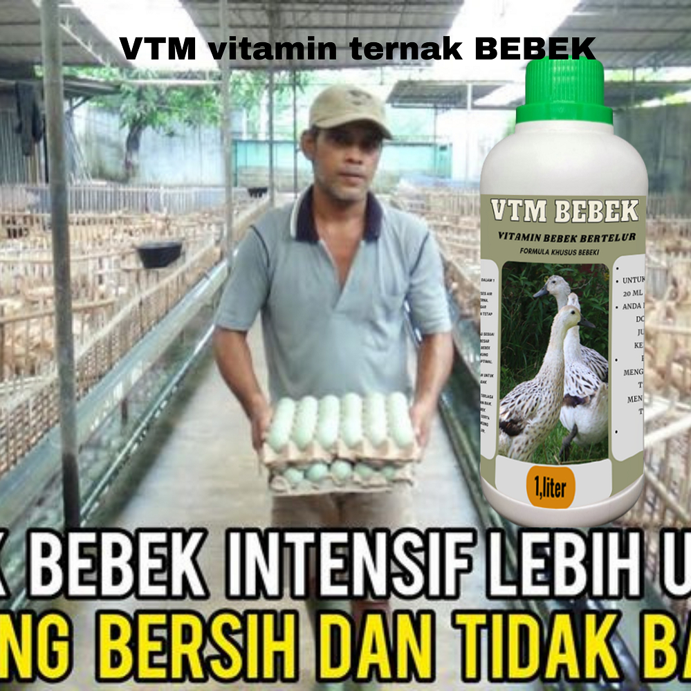 Vitamin Bebek Petelur Vitamin Bebek Cepat Bertelur Obat Bebek Macet Bertelur Nutrisi Bebek Petelur
