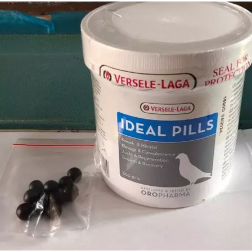 IDEAL PILLS PIL PILS VERSELE LAGA VITAMIN OBAT RECOVERY BURUNG MERPATI SUPLEMEN LOMBA