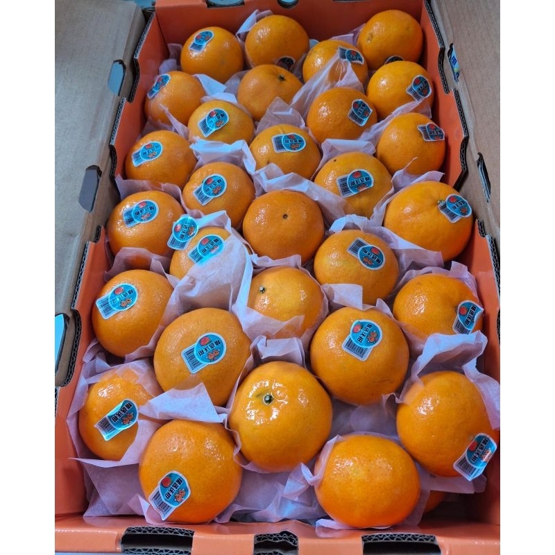 Jeruk Wogam/ Wokam 1kg Malang Kota