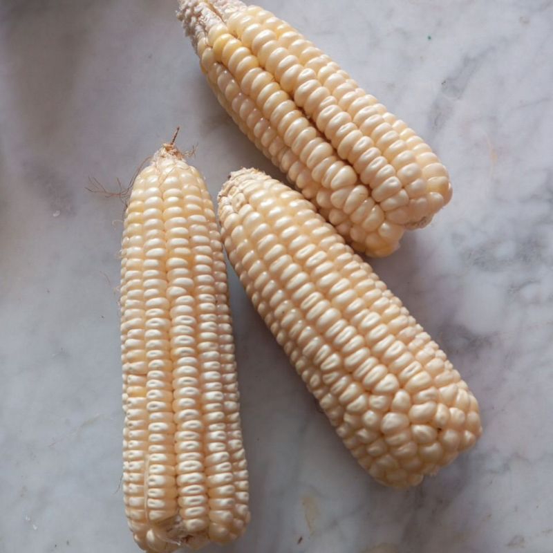 

jagung putih kemasan 1000gram kering panenan