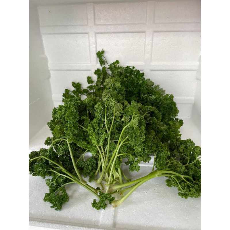 

Daun Parsley / Petersely