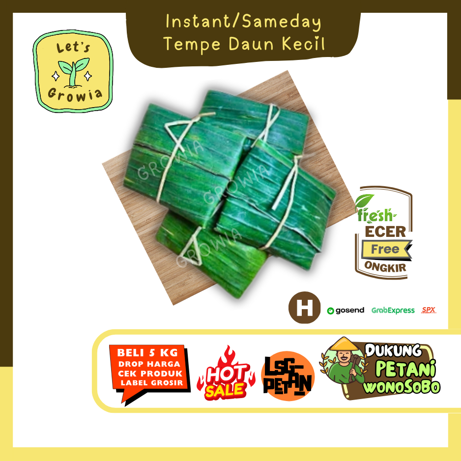 

Growia ||Tempe Daun Kecil -- Hasil Petani Langsung Ecer Sayur Gunung (H)