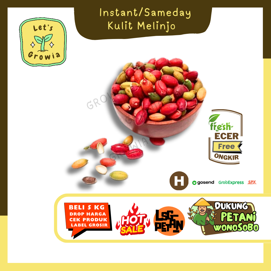 

Growia || Kulit Melinjo / Belinjo -- Hasil Petani Langsung Ecer(H)