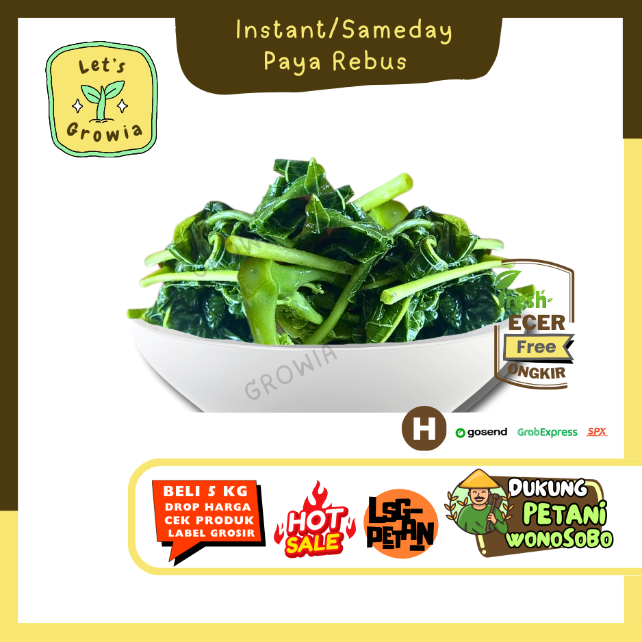

Growia || Daun Pepaya Rebus / Kates Rebus -- Hasil Petani Langsung Ecer (H)