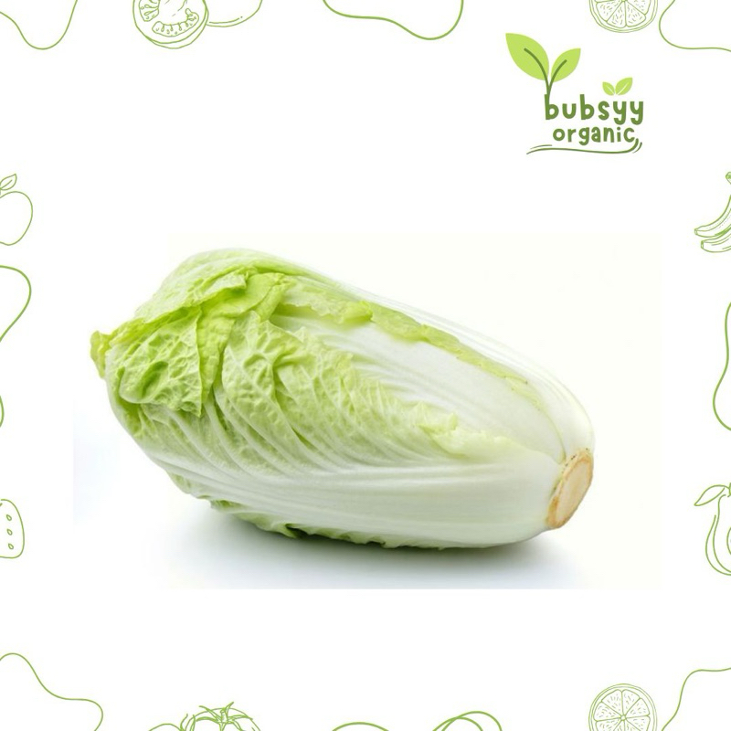 

SAWI PUTIH 500G 1Kg MURAH