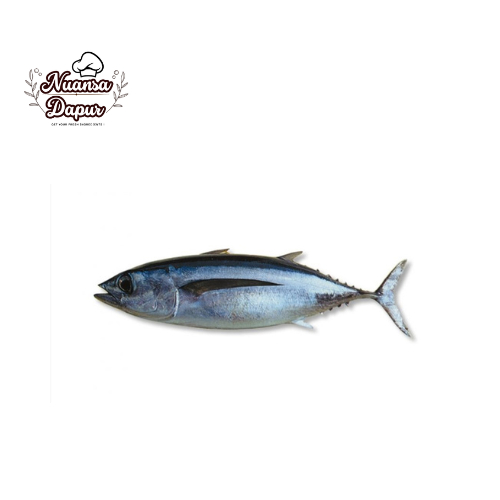 

Ikan Tongkol 500 gram