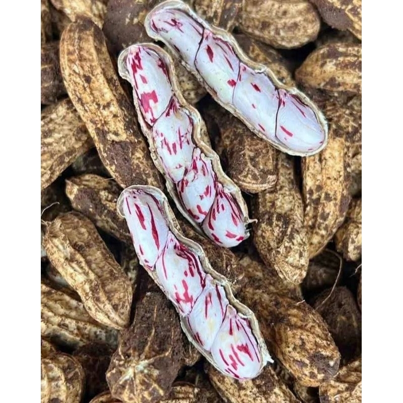 

KACANG TANAH LURIK/BATIK MADU PULEN MANIS 1KG