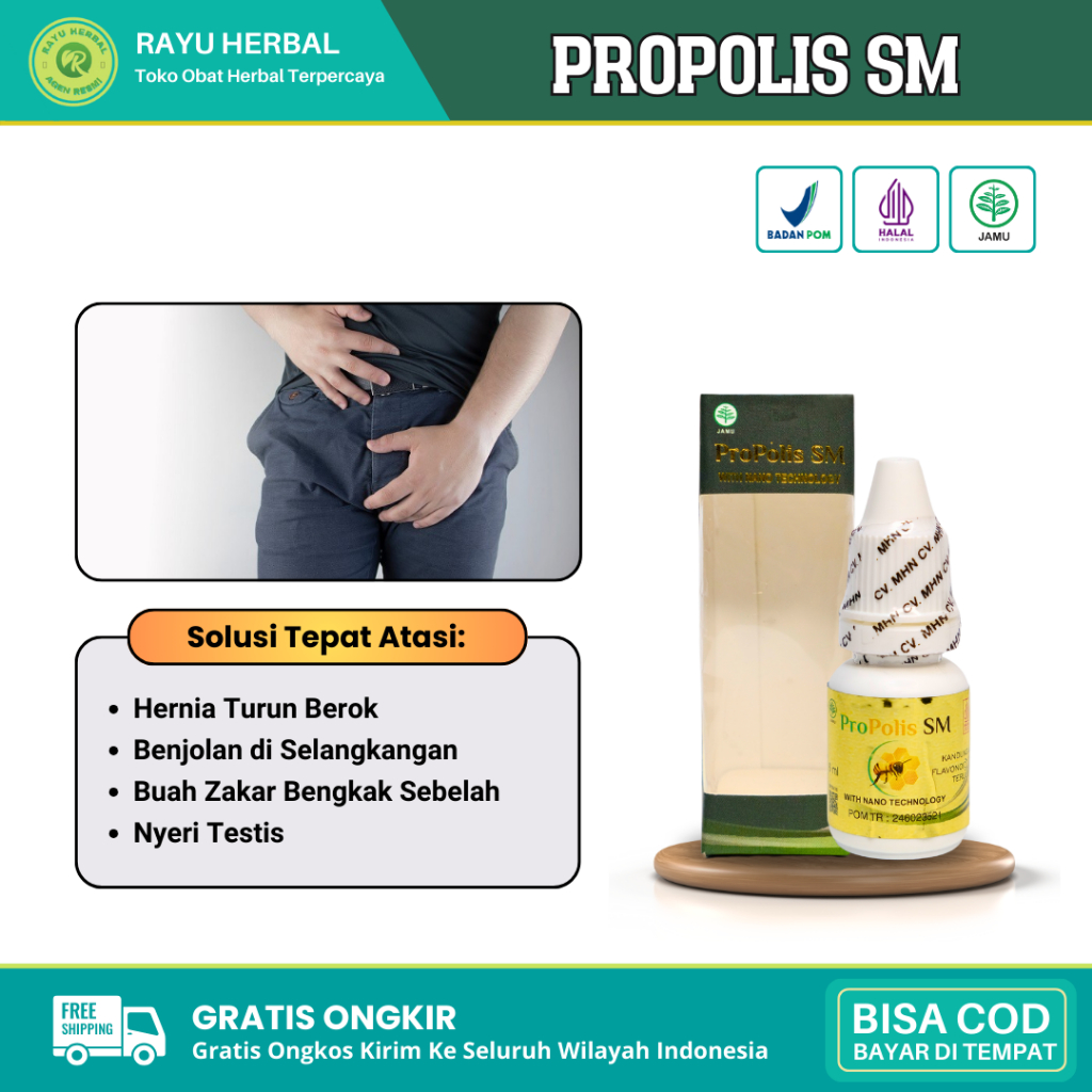 Obat Hernia Turun Berok, Obat Hernia inguinalis, Obat Hernia femoralis, Obat Hernia umbilikalis, Oba