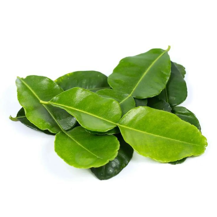 

Daun jeruk segar satu pack