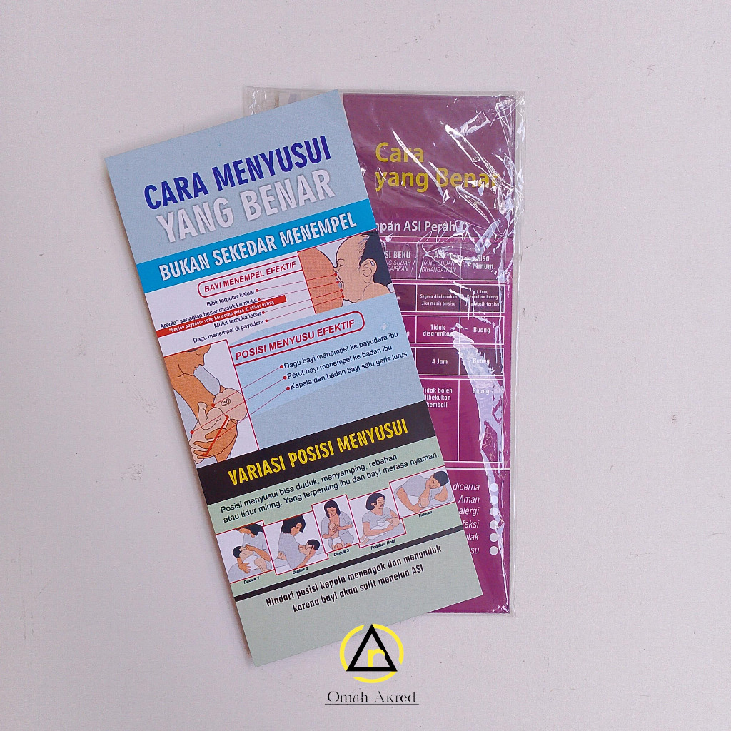 

Flyer Cara Menyusui Yang Benar - Cara Menyimpan ASI Perah - Brosur Kesehatan