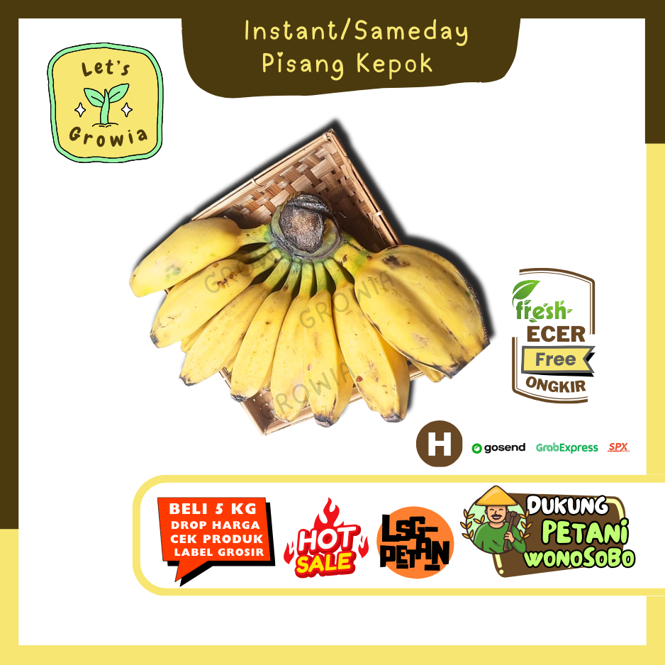 

Growia || Pisang Kepok -- Hasil Petani Langsung Ecer(H)