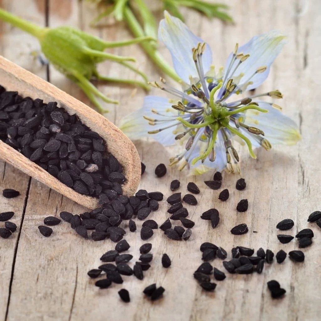 

VHIBUTI HABBATUSSAUDA / JINTAN HITAM MURNI 100% ASLI ORIGINAL
