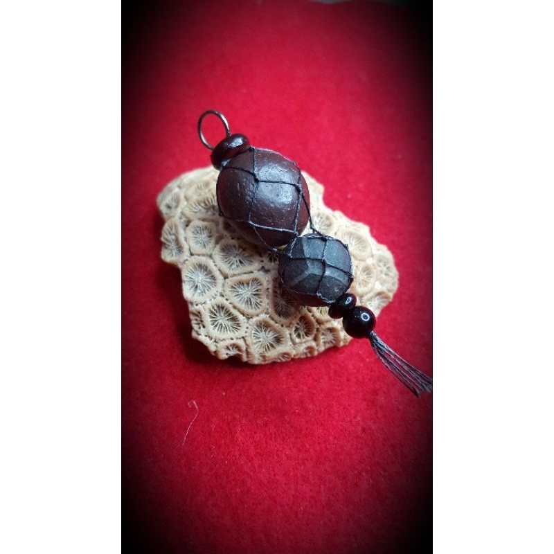 Perpaduan MONTA BASSI dan BAGORE