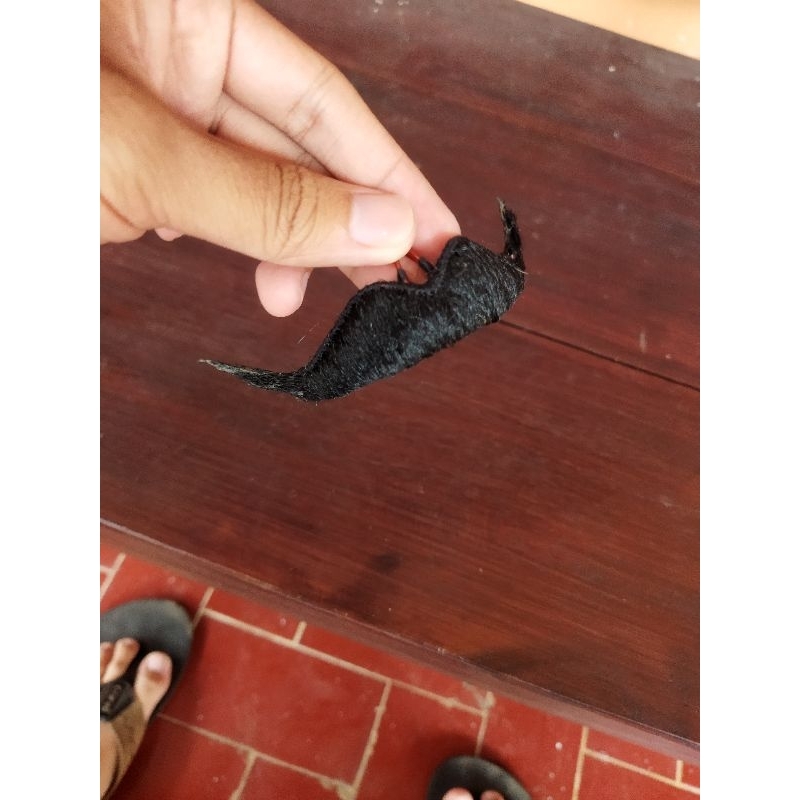 kumis jaran kepang anak"