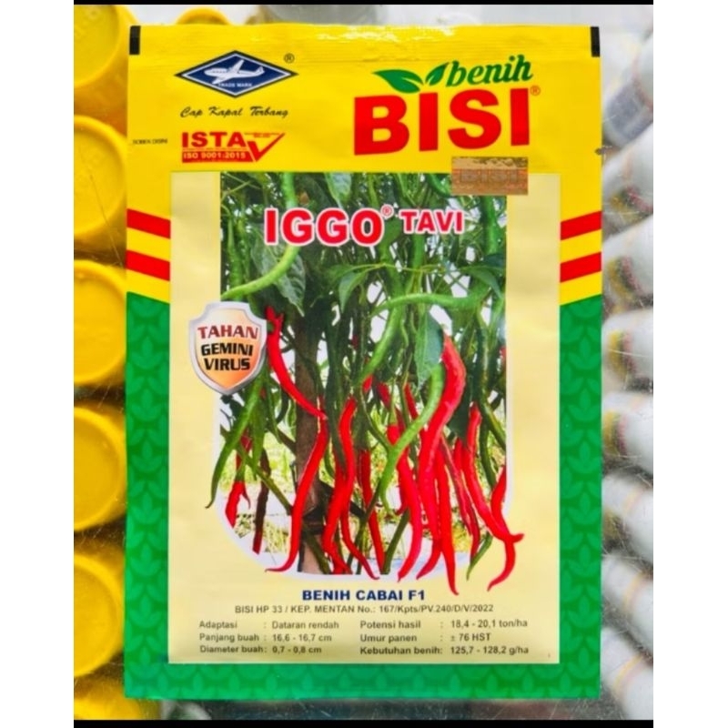 benih bibit cabe berkualitas IGGO tavi.... ISI 10 GRAM benih murni. cap kapal terbang BENIH DI JAMIN
