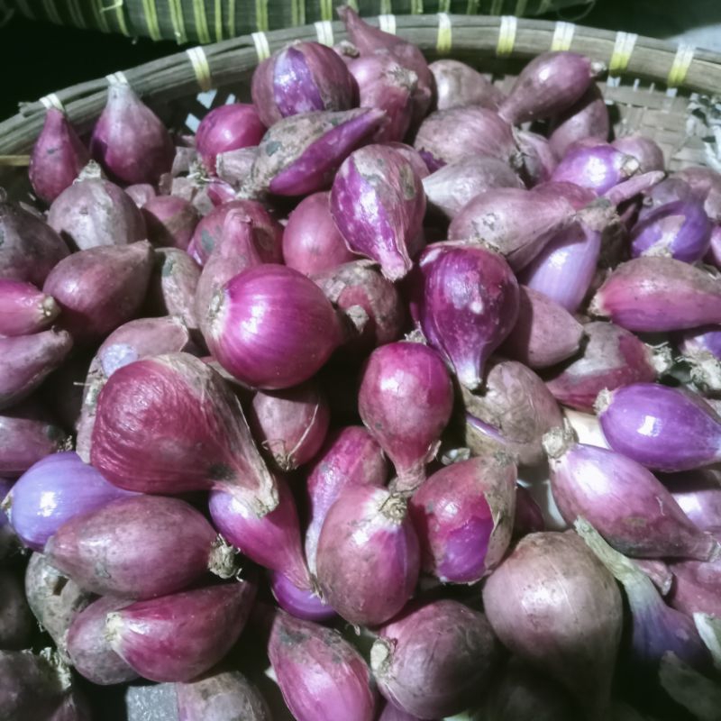 

bawang merah / bawang merah super besar / bawang merah murah