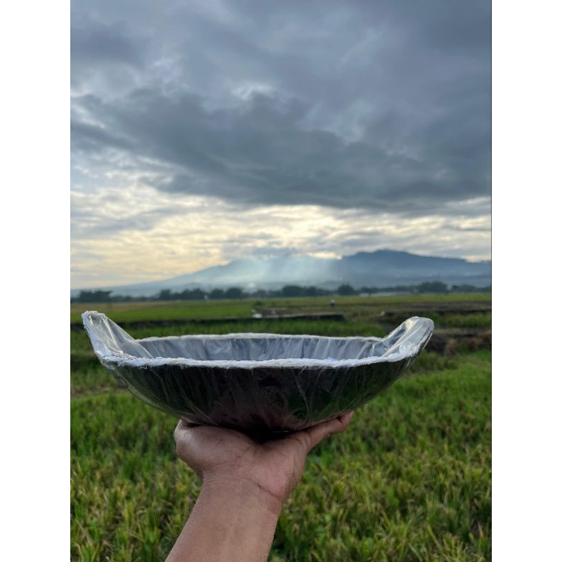 WAJAN BAJA ANTI LENGKET 30CM WOK SEASONING // Wajan Besi // Wajan Baja
