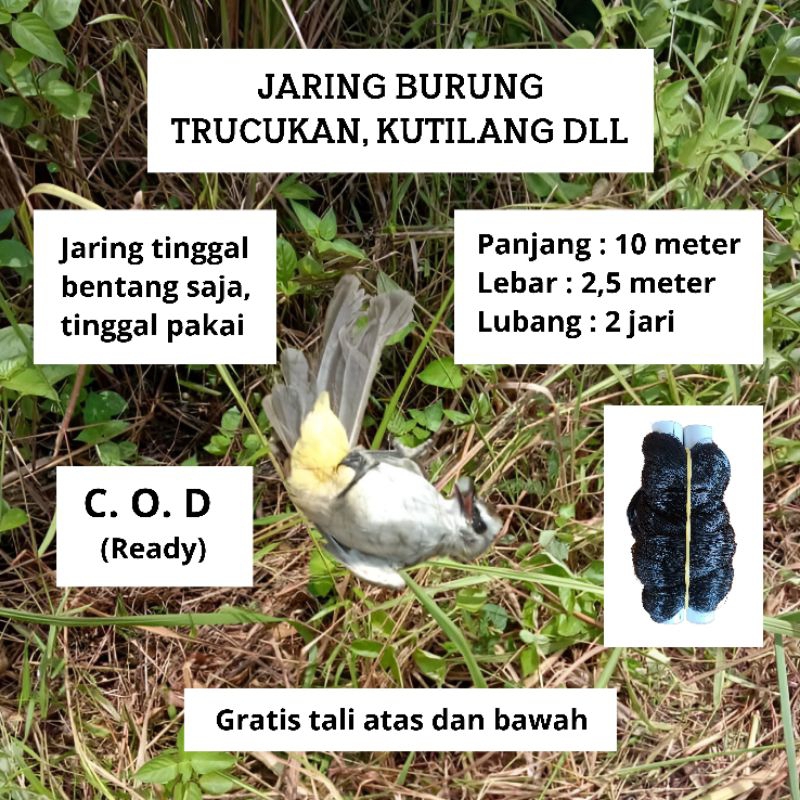 JARING BURUNG TRUCUKAN SIAP PAKAI JARING KUTILANG JARING BURUNG GACOR JARING BURUNG SIAP PAKAI