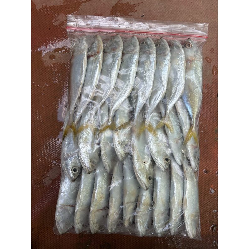 

IKAN KEMBUNG 1kg FRESH BEKU