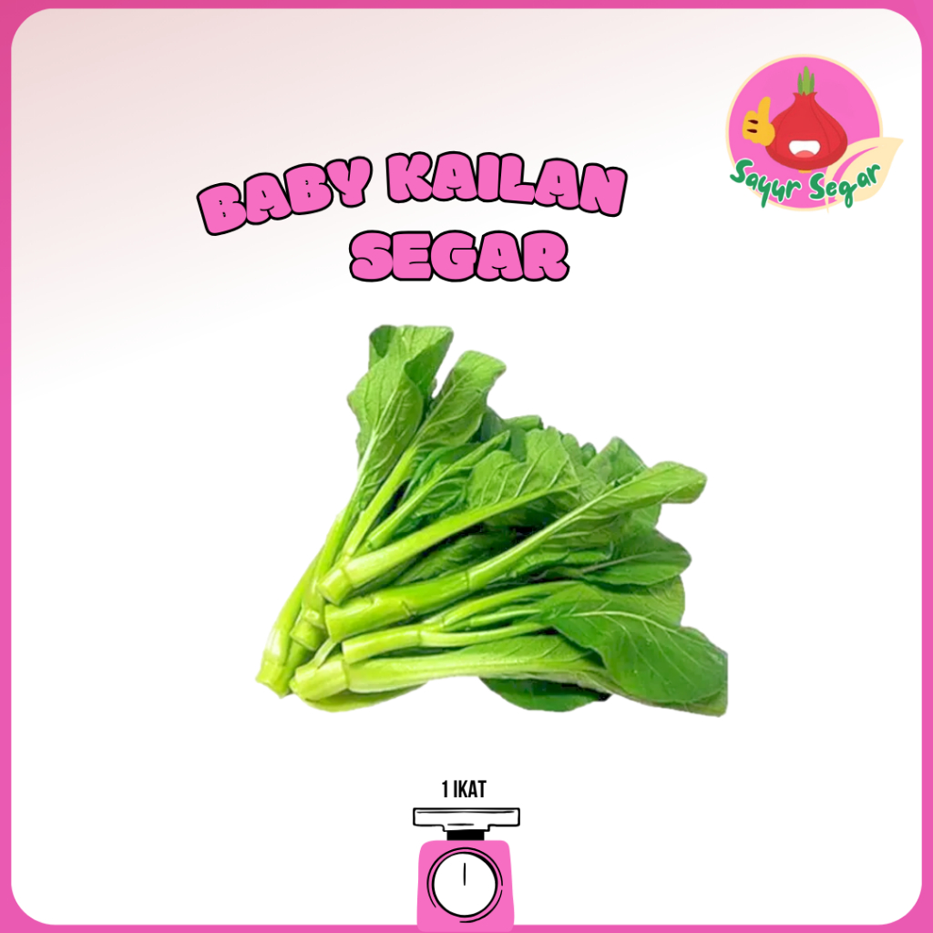 

Sayur Segar - Sayur Kilan / Kailan Segar 1 Ikat