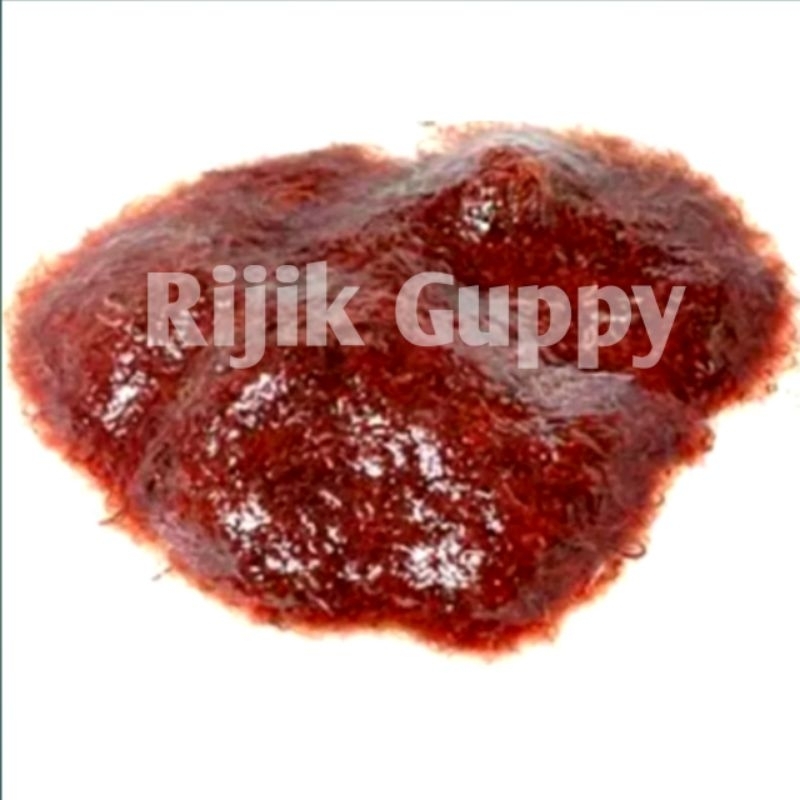 Cacing Sutra fresh bersih bebas lumpur/Casut/Pakan burayak Guppy cupang Moli lele/Harga Promo