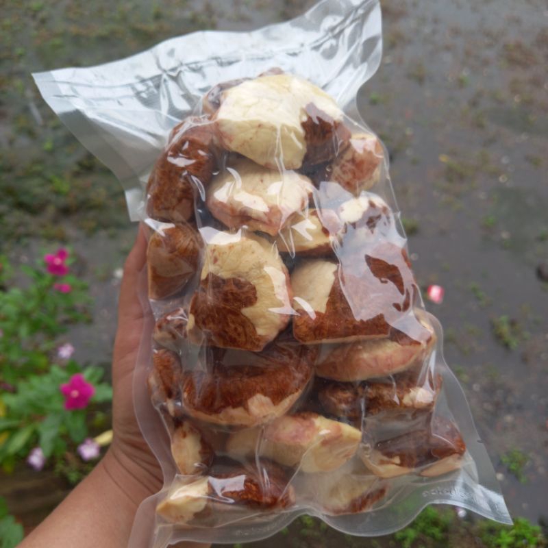 Gayam Mentah Gayam Kupas 1 kg Kemasan Vacum Gayam Besar Kecil